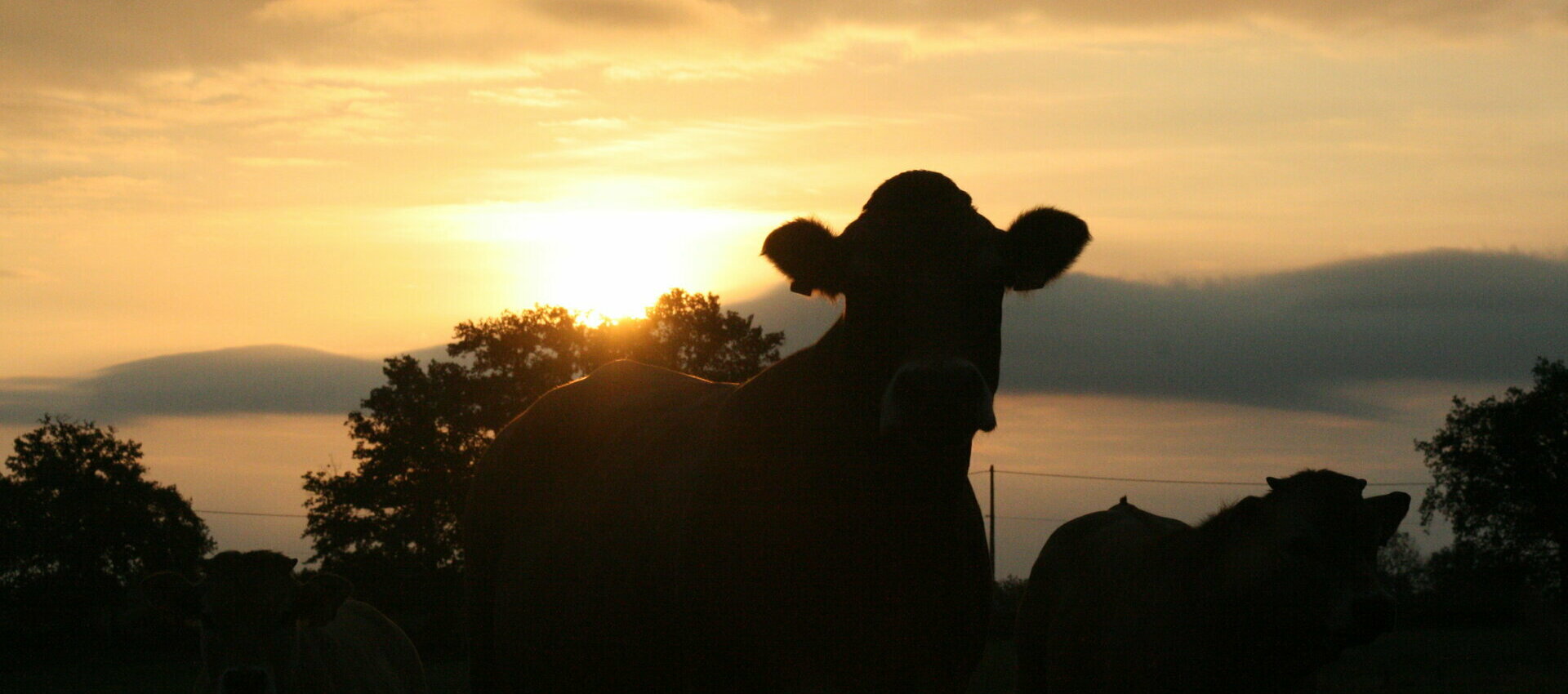 Bienvenue à Chappes dans l'Allier (03).